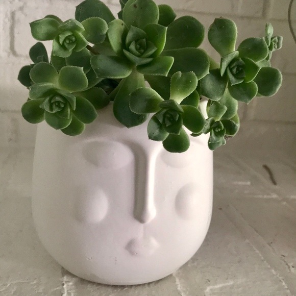 New Face Planter - Picture 5 of 11